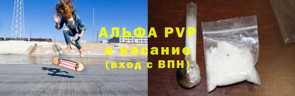 винт Абаза