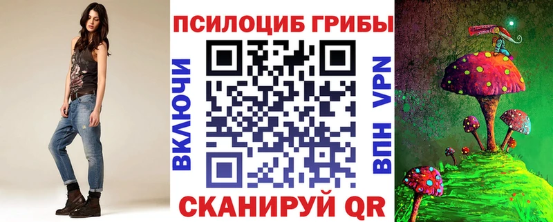 Галлюциногенные грибы Magic Shrooms  купить закладку  Чекалин 