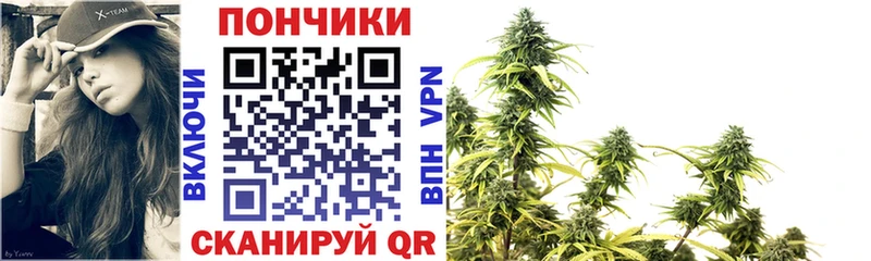 магазин продажи наркотиков Чекалин гидра вход Бошки Шишки семена